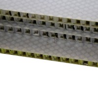 Light Weight FRP Plastic Honeycomb Sandwich Panel